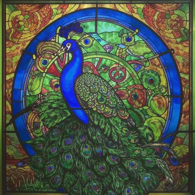 Благородный павлин