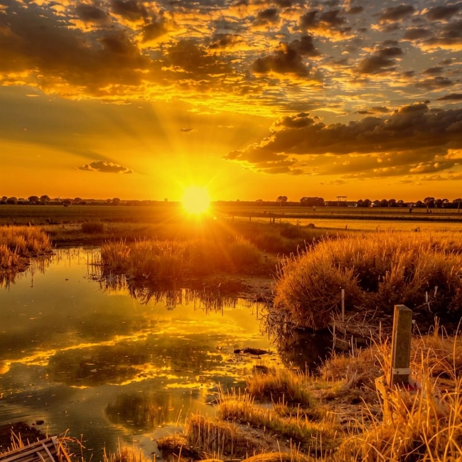 Золотой закат