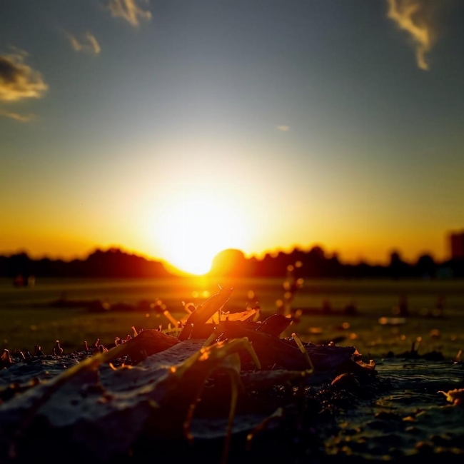 Восход солнца