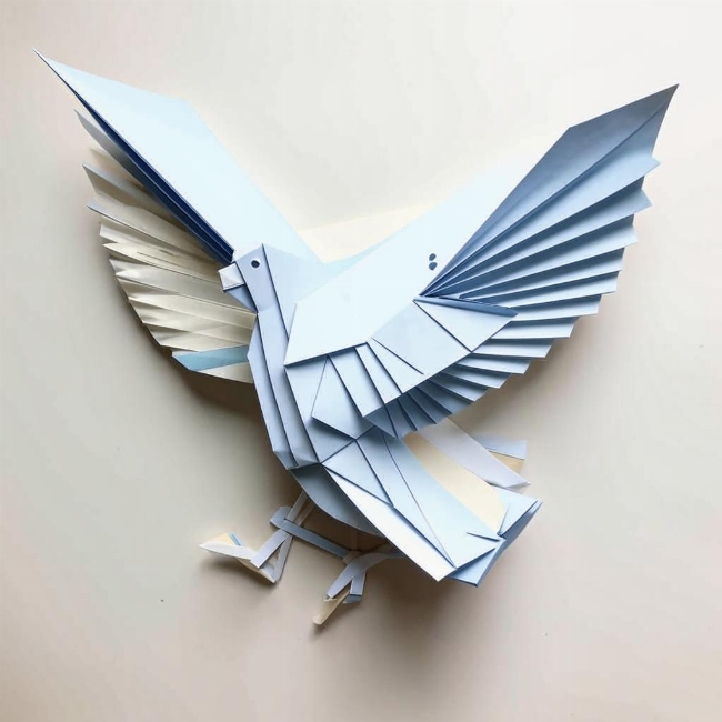 Мирный голубь