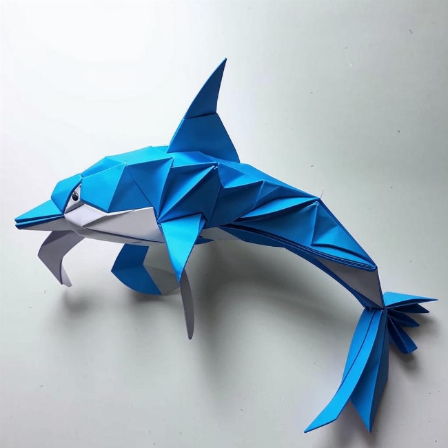 Игривый дельфин