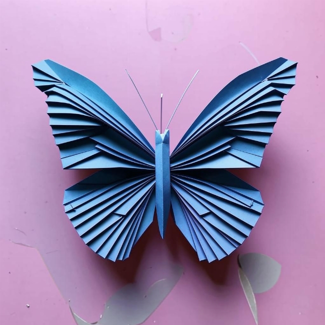 Элегантная бабочка